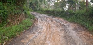 Miris ! Puluhan Tahun Jalan Desa Mandalamekar Tidak Ada Perhatian Serius Dari Pemkab Tasikmalaya