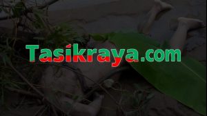 Geger! Warga Cipatujah Hanyut di Sungai Ciogong