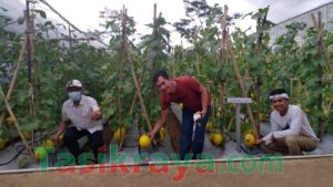 Murjani Dukung Petani Kota Tasikmalaya Melalui Program “NGOPI”