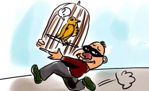 Viral Pencuri Burung di Mangkubumi Terekam CCTV