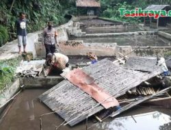 Dua Warga Sukarame Tewas Tertimpa Saung Ambruk