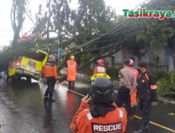 Cuaca Ekstrem di Tasikmalaya, Pohon Tumbang Timpa Mobil Odong-odong