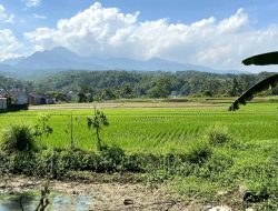 BEM Unper Sampaikan 5 Kegelisahan Petani ke DKP3