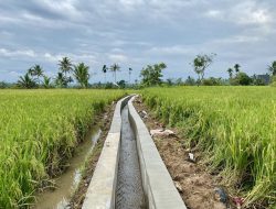 Pembangunan Irigasi Cisayong Sangat di Rasakan Petani