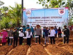 Kurangi Produk Impor, Polres Tasikmalaya Tanam Jagung Serentak di Tanjungjaya