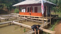 Jaman Tasikmalaya Perkuat Ekonomi Lokal Dalam Pemberdayaan Budidaya Ikan