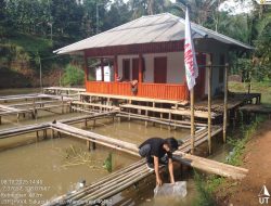 Jaman Tasikmalaya Perkuat Ekonomi Lokal Dalam Pemberdayaan Budidaya Ikan
