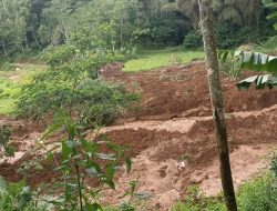 Seluas Satu Hektar, Longsor Menimpa Cisayong Tasikmalaya