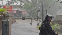 Dua Tiang Listrik Ambruk di Kota Tasikmalaya, Aset PLN Terimbas