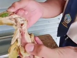 Siswa Kecewa ! Menu MBG Daging Ayam di Sukahening Mentah & Berdarah