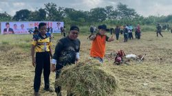 Syukuran Hattrick Persib, Koni Kabupaten Tasikmalaya Rapihkan SOR Kaliki