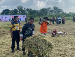 Syukuran Hattrick Persib, Koni Kabupaten Tasikmalaya Rapihkan SOR Kaliki