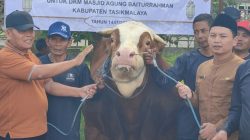 Tiba di Tasikmalaya, Presiden Prabowo Kirim Sapi Limosin 1,2 Ton