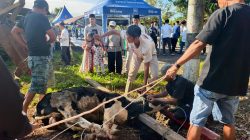 Polres Tasikmalaya Tebarkan Keberkahan Idul Adha, Puluhan Hewan Kurban di Salurkan