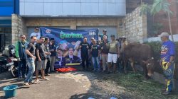 Wujud Kepedulian Sosial, Karang Taruna Kabupaten Tasikmalaya Kurban 1 Ekor Sapi