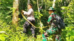 Kebun Kopi Mendadak Sunyi, Seorang Pria di Pagerageung Gantung Diri