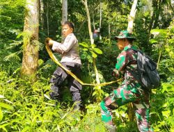 Kebun Kopi Mendadak Sunyi, Seorang Pria di Pagerageung Gantung Diri