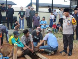 Wujudkan Kebersamaan dengan Warga, Batalyon D Pelopor Sembelih Hewan Kurban 20 Ekor Sapi & Kambing