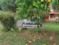 Organisasi Tani Lokal Soroti Aktivitas Penyadapan Getah Karet di Eks HGU Wiria Cakra