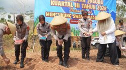 Meski Kemarau, Polres Tasikmalaya Tetap Komitmen Tanam Jagung di Lahan 5 Hektar