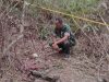 Heboh ! Penemuan Tengkorak & Tulang di Bantarkalong Tasikmalaya, Identitas Belum Terungkap